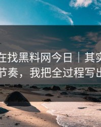 你以为在找黑料网今日｜其实在被引到带节奏，我把全过程写出来了