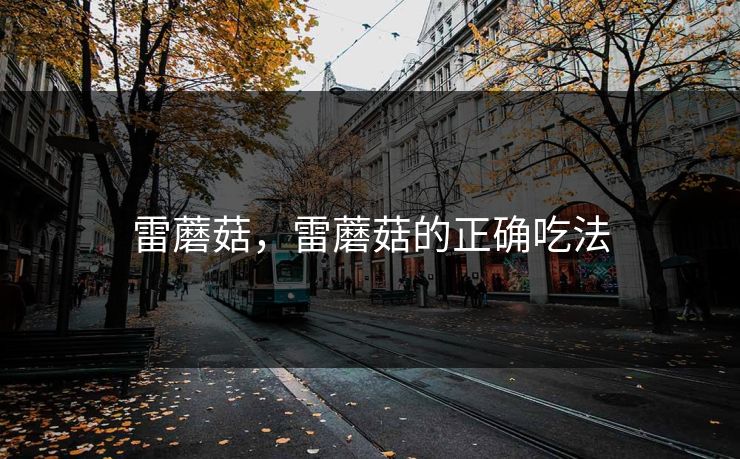 雷蘑菇,雷蘑菇的正确吃法 雷蘑菇,雷蘑菇的正确吃法