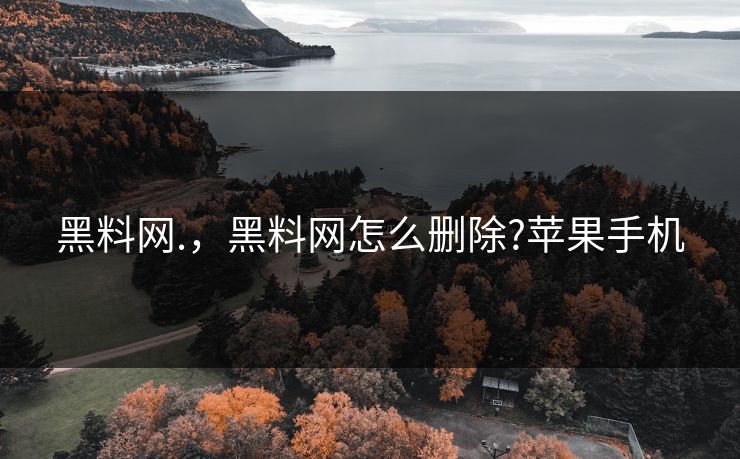 黑料网.,黑料网怎么删除?苹果手机 黑料网.,黑料网怎么删除?苹果手机