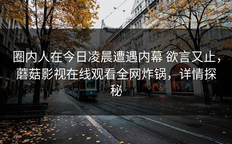 圈内人在今日凌晨遭遇内幕 欲言又止,蘑菇影视在线观看全网炸锅,详情探秘 圈内人在今日凌晨遭遇内幕 欲言又止,蘑菇影视在线观看全网炸锅,详情探秘